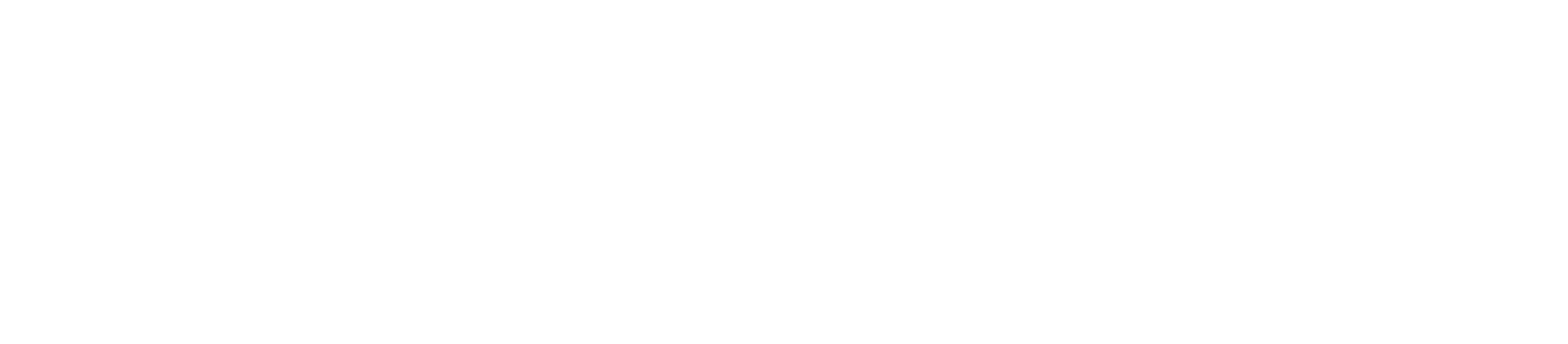 C A R A V A N K O